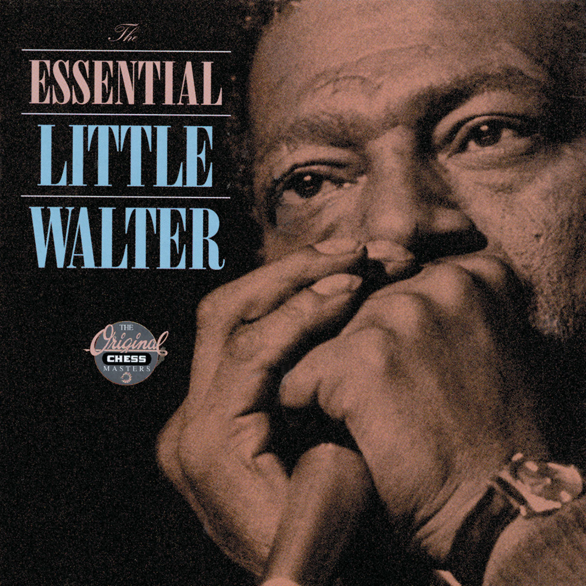 Little Walter-Can't Hold Out Much Longer