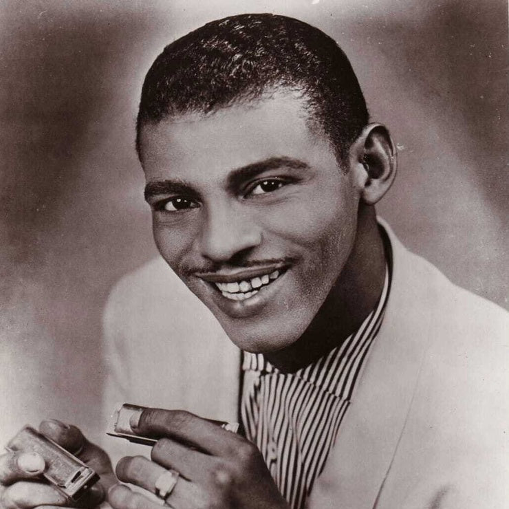 Little Walter Class Package-3 classes