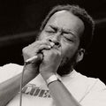 The Dynamics of James Cotton: "Love Me or Leave Me"