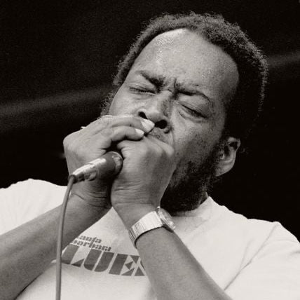 The Dynamics of James Cotton: "Love Me or Leave Me"